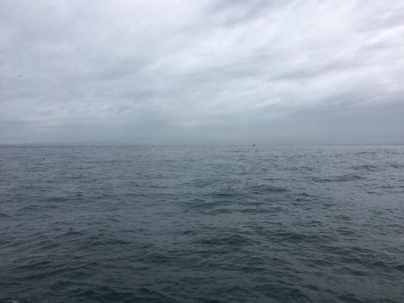 雨の中でショアジギング